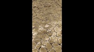 Как общаться со взрослой дочерью? Она ненавидит меня