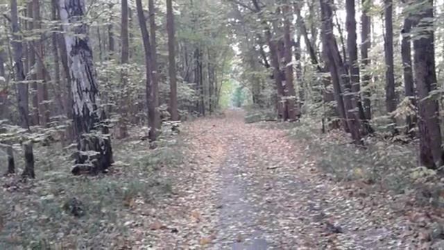 Природа Пензенского края смотреть онлайн