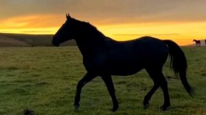 3 мая День возрождения Карачаевского народа