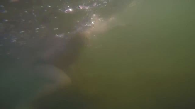 last sunny drops of summer смотреть онлайн