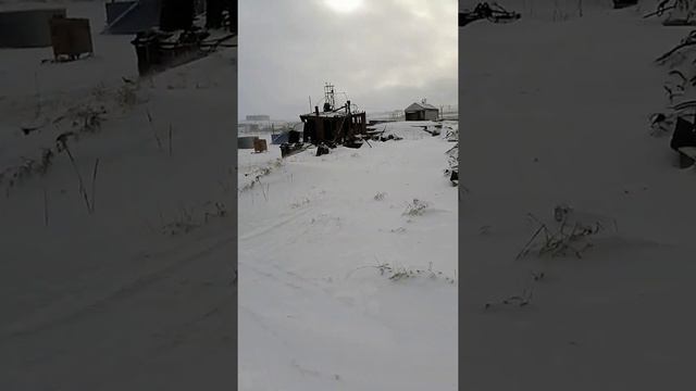 Охотское море и малый флот (западное побережье камчатки) смотреть онлайн