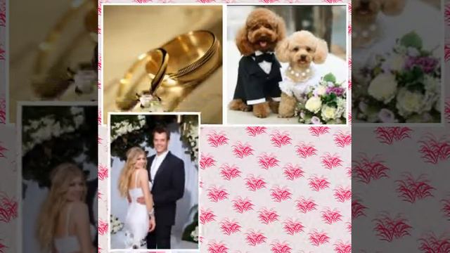 Свадебное поздравление! ( коллаж 5) смотреть онлайн