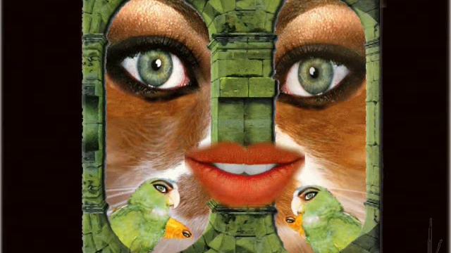 Cat Eyes смотреть онлайн