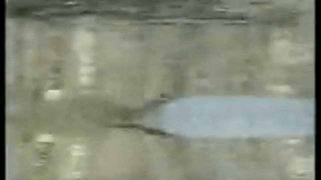 Kitaro-Tao(Tunhuang)