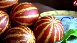 Наш огород.Вьетнамская декоративная дыня.