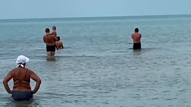 БУДЬТЕ ОСТОРОЖНЫ! НЕЛЬЗЯ ПРИБЛИЖАТЬСЯ К ДЕЛЬФИНАМ В МОРЕ! смотреть онлайн