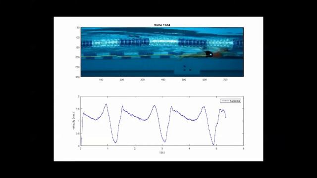 Pacing the phasing of leg and arm movements in breaststroke swimming to minimize intra-cyclic смотреть онлайн