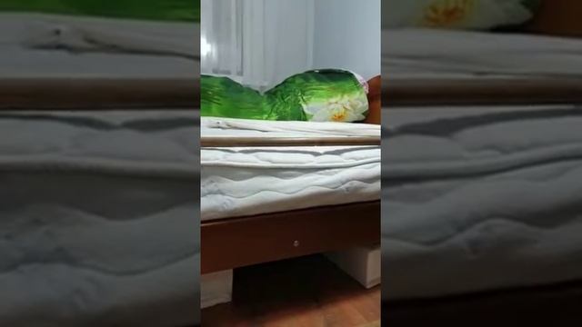 Реклама матраса Аскона смотреть онлайн