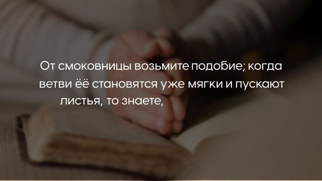 Библейский текст: Евангелие от Матфея 24:32,33 смотреть онлайн