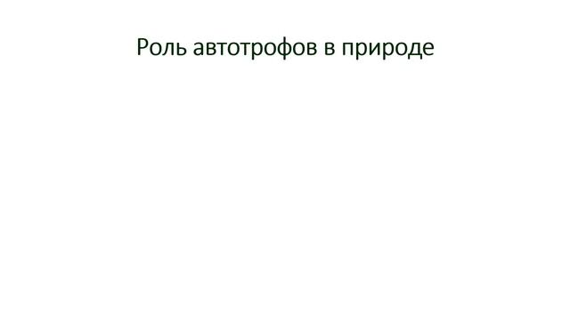 АВТОТРОФЫ смотреть онлайн