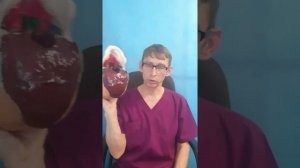 Биодинамика в практике оздоровления тела