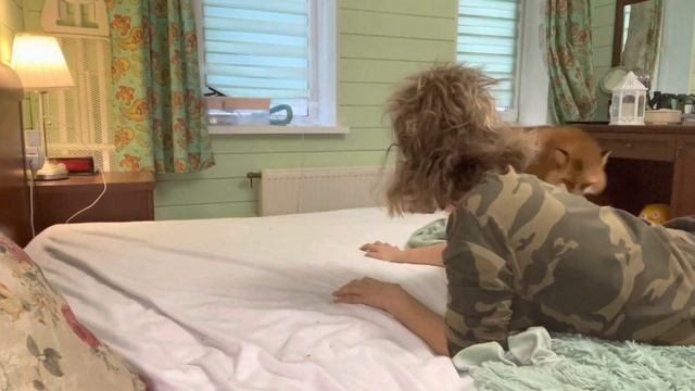 Жёсткие игры лисы смотреть онлайн