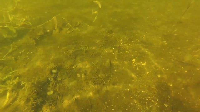 Щука на озере Яльчике смотреть онлайн