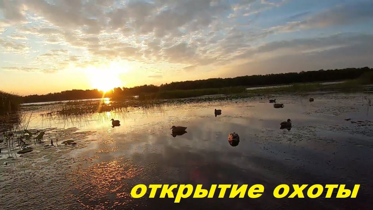 17 УТОК ЗА УТРЯНКУ!!! ОТКРЫТИЕ ОХОТЫ НА УТКУ!!! Патроны закончились через час / MAX HUNTER смотреть онлайн