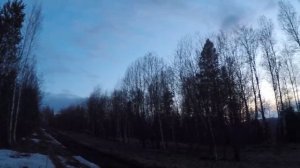 Охота весной.Глухариный ток.Охота на вальдшнепа на тяге