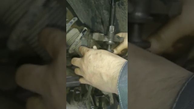 Ниссан примера p12 разбираем задние суппорта