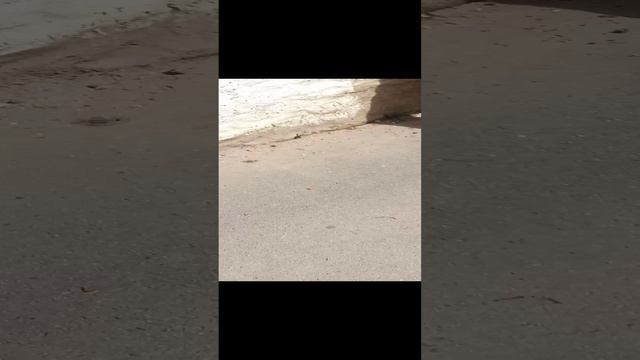 мы её на футбол смотреть онлайн