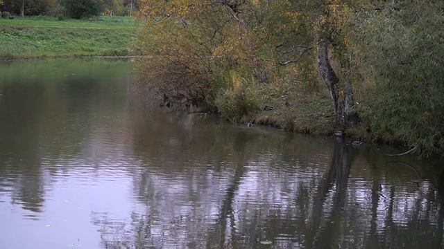 Дача мецената Шереметева смотреть онлайн