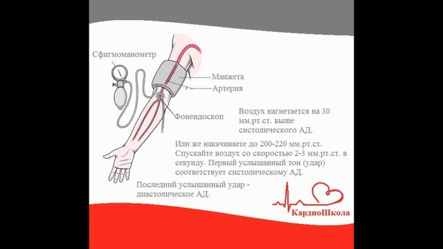 2 урок Как правильно измерять Артериальное давление смотреть онлайн