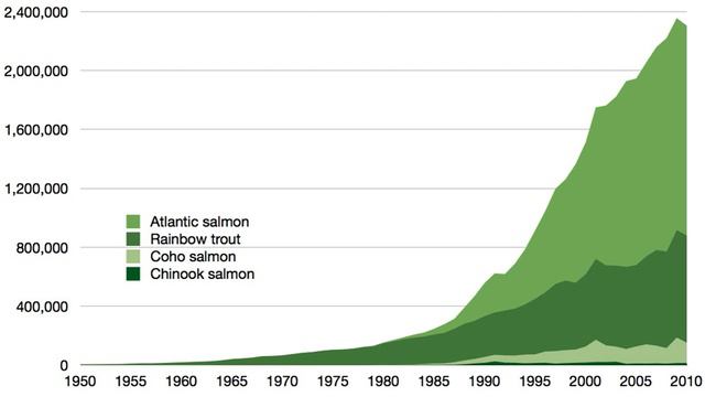 Aquaculture of salmon | Wikipedia audio article смотреть онлайн