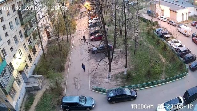 Камера TR-236BS-IP (1920x1080) Вечер цвет Sony Imx 291