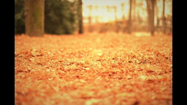 秋のスケッチ（ギロック） смотреть онлайн