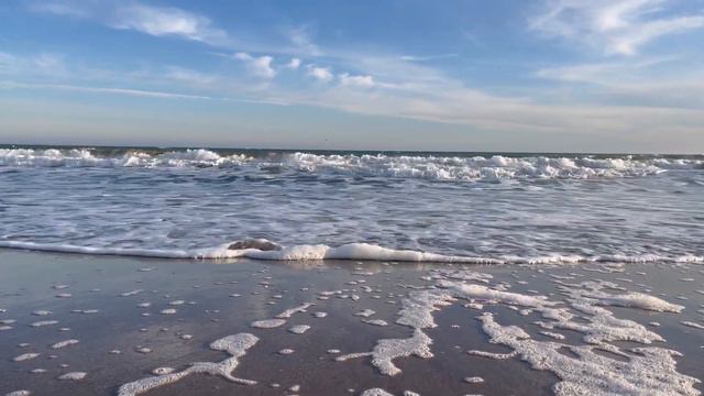 VLOG ♡ Одесса, купила питбуля и черное море. смотреть онлайн