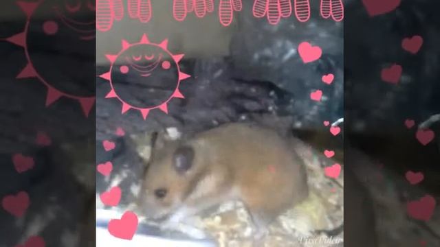 Это пробное строго судите смотреть онлайн