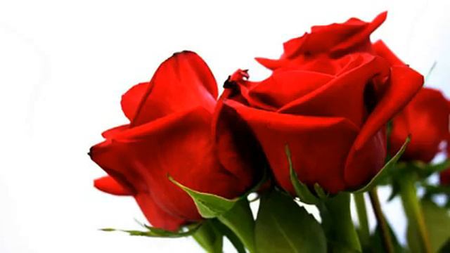 красивая музыка о любви смотреть онлайн