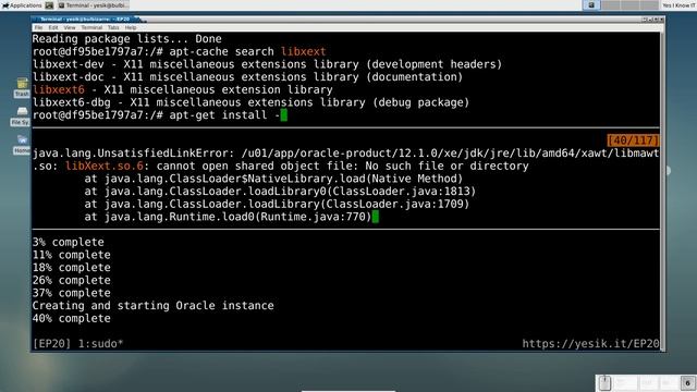How to Run a Graphical Application from a Container? Yes, I Know IT! Ep 20 смотреть онлайн