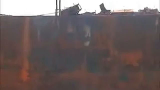 Фотоохота на дельфинов в Индийском океане смотреть онлайн