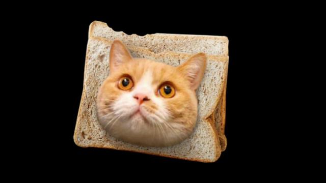 Сделала Игрушку Райи-Прайм| Идеальный мир Лололошка меме| смотреть онлайн