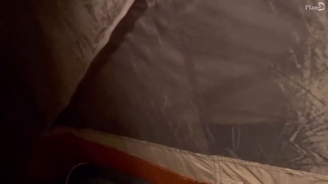 ENG│혼자 캠핑가서 고양이식당 차린 자취일상. 숲속으로 백패킹가서 따끈한 닭칼국수, 오삼불고기 만들기