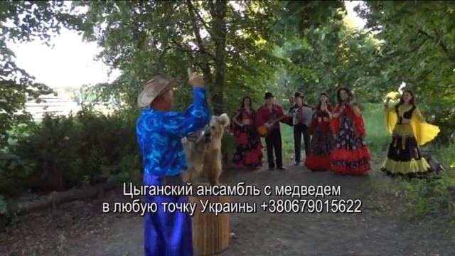 Цыганский Ансамбль Арго с медведем на праздник по Украине смотреть онлайн