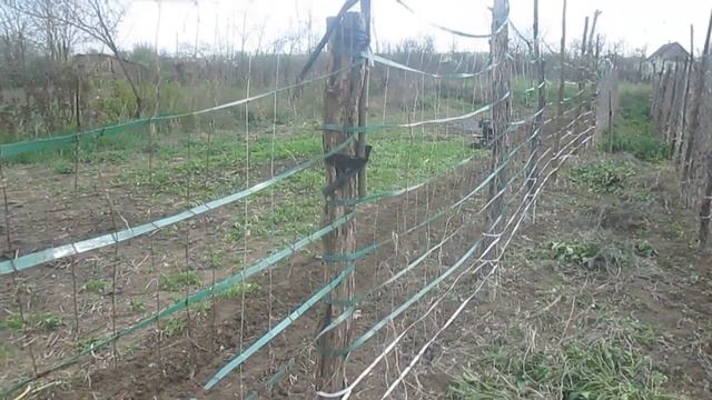 Обзор самодельной сетки под огурцы смотреть онлайн