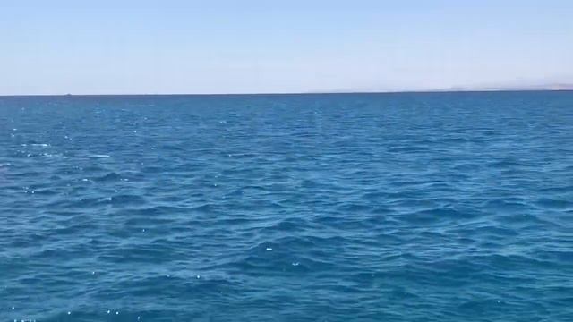 ВЛОГ:экскурсия в ХУРГАДЕ,Райское место, красное море,дельфины смотреть онлайн