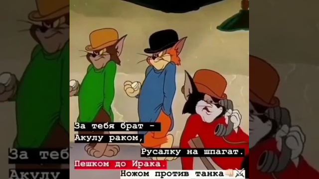 видео можно скачать в тик токе смотреть онлайн