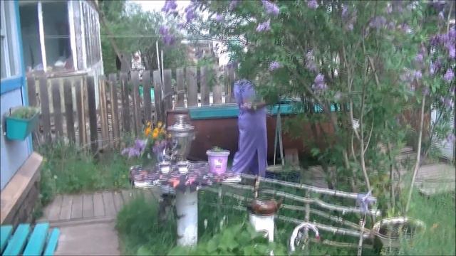 Расцвела сирень,черёмуха в саду . смотреть онлайн
