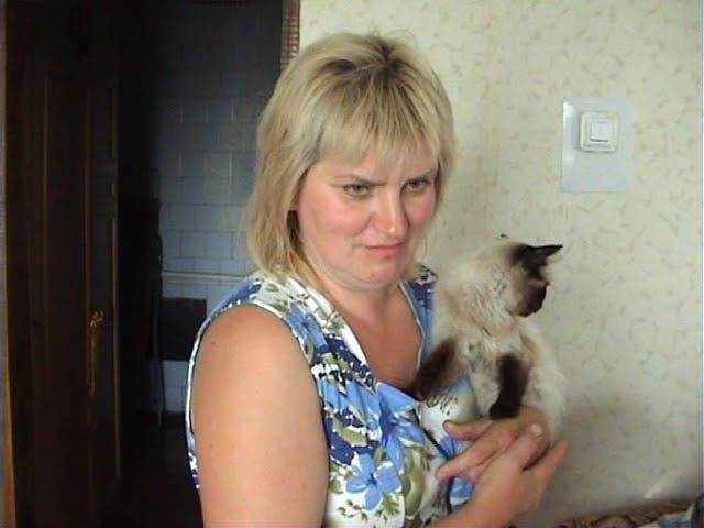 Шептуховка 2010 смотреть онлайн