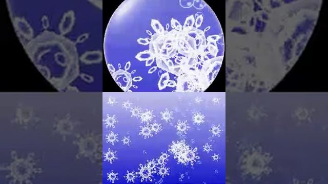Electroplankton part 5 смотреть онлайн