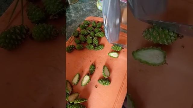 Лесная грибная страсть