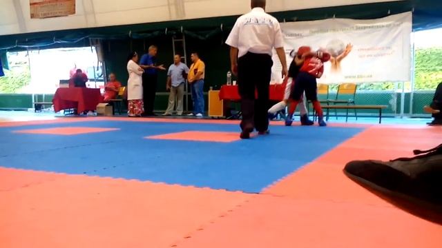 Кубок Черного моря 2016 кикбоксинг WAKO смотреть онлайн