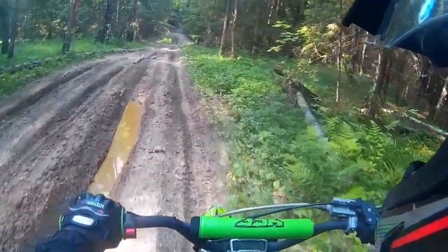 покатушки в лесу смотреть онлайн