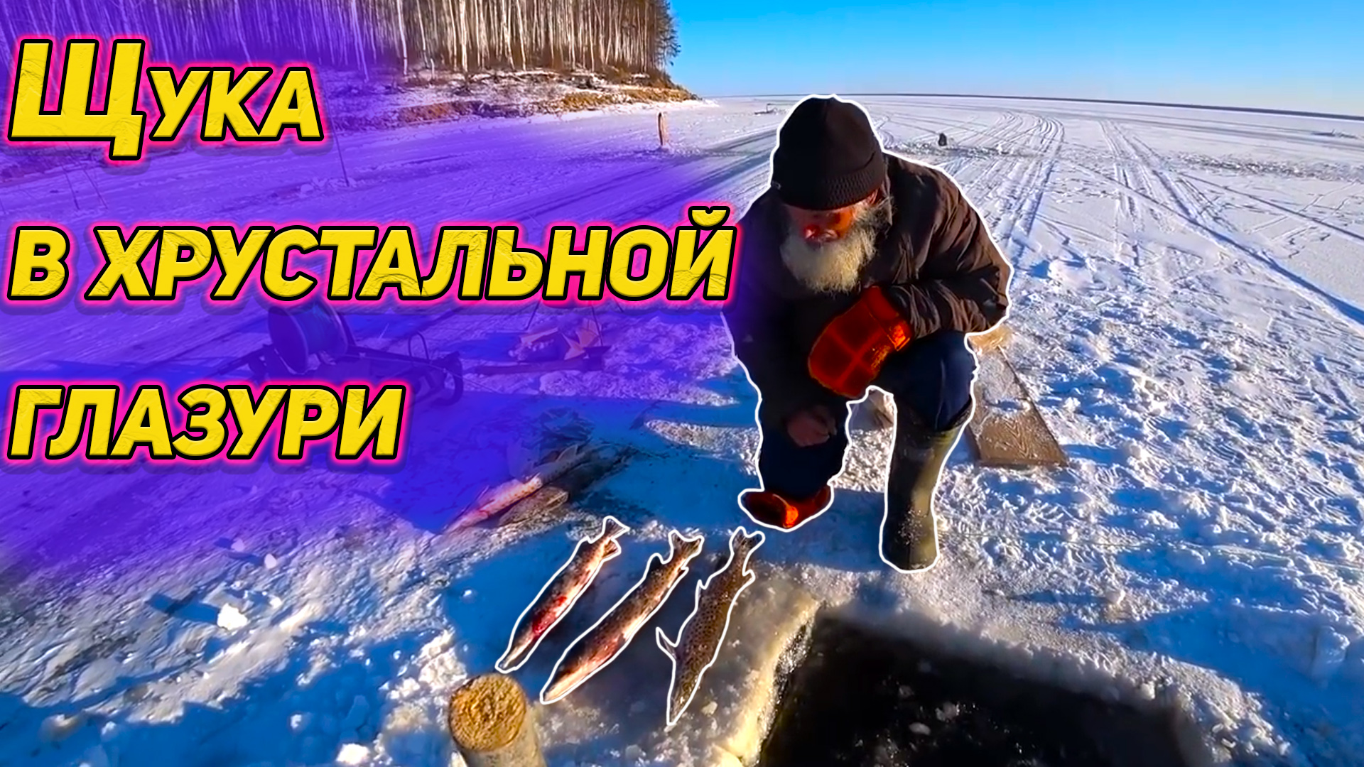 Щука в хрустальной глазури, старинный способ сберечь улов. Старая школа, уроки дяди Толи смотреть онлайн