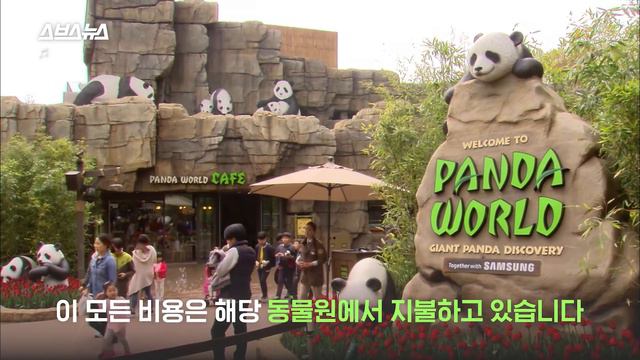 안녕! 나는 푸바오🐼 4년 뒤 중국에 돌아가야해/ 스브스뉴스 смотреть онлайн