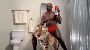 Old Spice - Tiger Spray