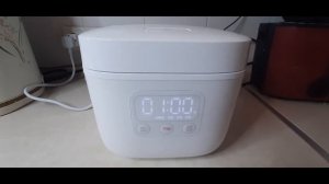 ОБЗОР НА РИСОВАРКУ СЯОМИ-КИТАЙ/КАК ПРАВИЛЬНО ВАРИТЬ РИС ПО-КОРЕЙСКИ/АЛЕНА ПРО КОРЕЙСКУЮ КУХНЮ