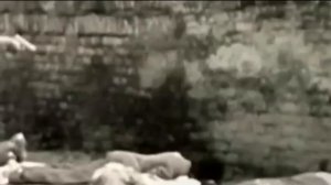 Смоленск 1941-1943. Жизнь в оккупации.