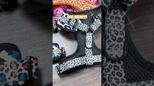 Choosing the right dog Harness is very important@levitpet1 #pets #cat #dog смотреть онлайн