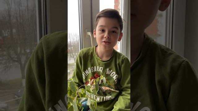 2020 г. А.Фет ,,Еще светло перед окном...,, смотреть онлайн